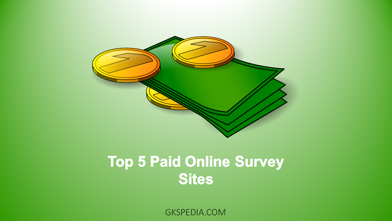 Top 5 Paid Online Survey Sites