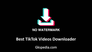 One Of most Well-Known TikTok Videos Downloader App